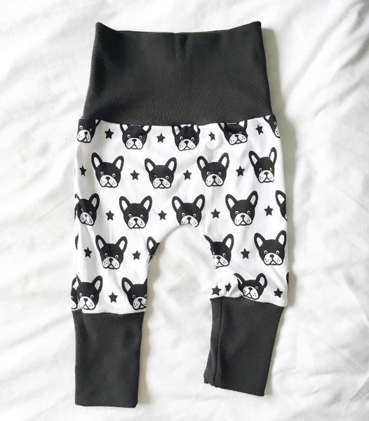 Boston Pups