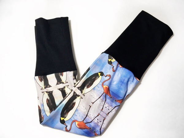 Penguins and Flamingos